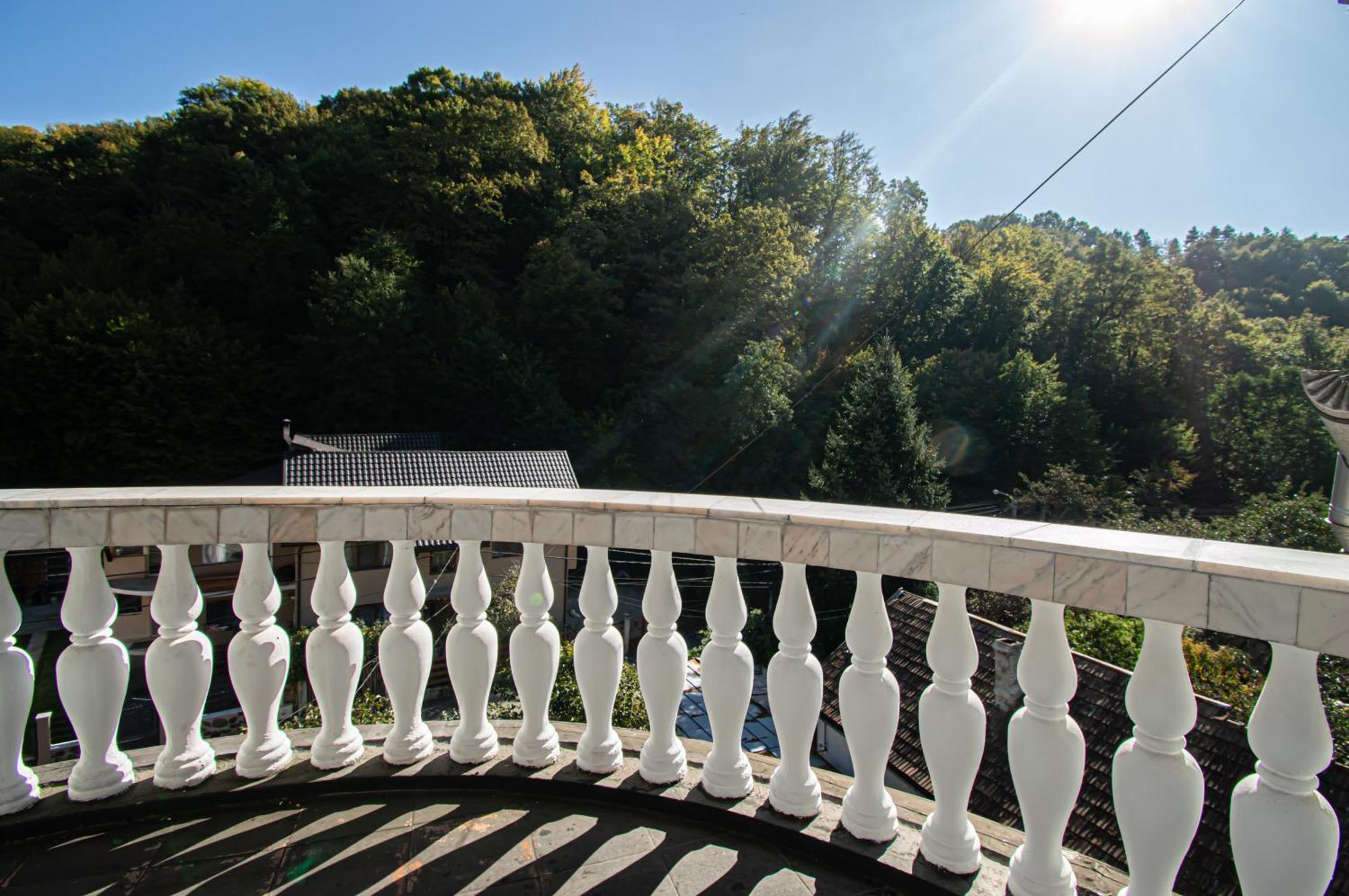 Pensiune Forest Park Baia Mare Exterior photo