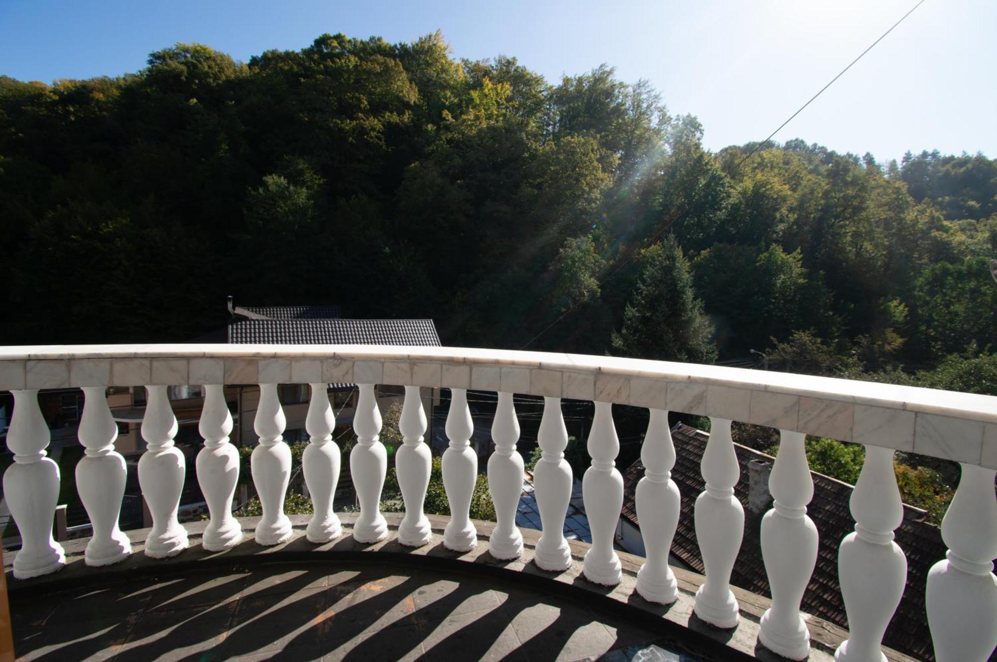 Pensiune Forest Park Baia Mare Exterior photo